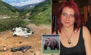 Horror in the Wild: Woman Dragged from Tent and Mauled by Bear on Adventure Tour