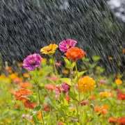 How to Check Soil Moisture: Essential Tips for Healthy Plants