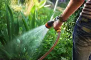 How to Water Your Garden Wisely in the UK's Changing Climate