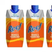 Iconic 90s Alcopop Reef Returns: A Blast from the Past Hits Shelves Again!