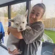 Inside Lioness Star Lucy Bronze's Lavish Lifestyle: Football, Fashion, and Future Plans