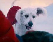 Is 'Tiresome & Useless Superman' a Sci-Fi Parody or a Bizarre Take on Dog Ownership?