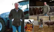 Jeremy Clarkson Forced to Cull Beloved Herd at Diddly Squat Farm Amid Heartbreaking Decision