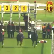 Jockey Banned for 12 Months After Shocking Incident in Malaysia – What Happened?
