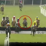 Jockey Oliver Boyden Suffers Terrifying Fall at Worcester Racecourse – Miraculously Walks Away