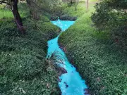 Mysterious Blue Hue in Melbourne's Banyule Creek Sparks EPA Investigation