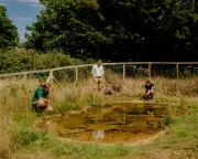 National Trust and Lottery Fund Launch £3.4m Initiative to Bring Nature Back to UK Towns and Cities