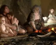 Neanderthals Had Distinct Food Preferences, New Study Reveals