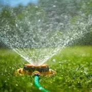 One Simple Trick to Keep Your Plants Thriving Without Daily Watering