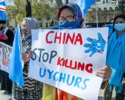 Oxford University Press Cuts Ties with China-Backed Forensic Sciences Journal