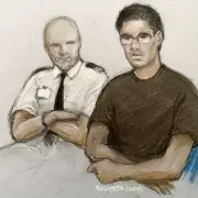 Patrick Hill's Harrowing Account: 'I Saw Nicholas Cruz Execute My Friends'