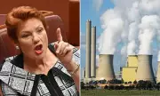 Pauline Hanson and Barnaby Joyce Clash Over Net Zero in Fiery Senate Debate
