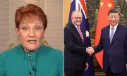 Pauline Hanson Loses Defamation Case Against Anthony Albanese Over 'Dangerous Act' Claims