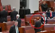Pauline Hanson's Fiery Senate Clash with David Pocock: A Heated Exchange Over Indigenous Rights