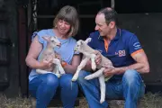Petting Farm Warning: Lambs Linked to Cryptosporidiosis Outbreak