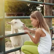 Petting Zoo Alert: Parents Warned Over Hidden Dangers to Kids' Health
