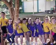 Queensland's Inclusive Education at Risk: Parents Fear Return to Segregated Schooling