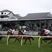 Racing Tipsters' Top Pick: This 5-1 Shot Could Be Your Golden Ticket at Cheltenham!