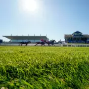 Racing Tipsters' Top Picks: Today's Best Bets for Horse Racing Enthusiasts