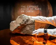 Rare Mars Meteorite Fetches Record Price at London Auction