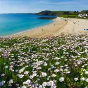 Revealed: The Best Seaside Towns to Live in the UK – Coastal Gems You'll Love