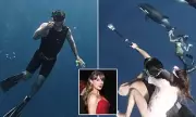 Scooter Braun Breaks Silence on Taylor Swift Feud: 'My Children Were Caught in the Crossfire'
