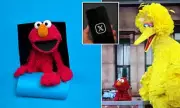 Sesame Street's Elmo's X Account Hacked – Official Response Reveals Shocking Details