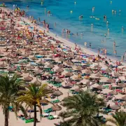 Shark Attack in Majorca: British Tourist Hospitalised After Terrifying Orca Encounter