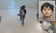 Shocking Abduction Attempt: Stranger Snatches Girl in Virginia Shopping Mall