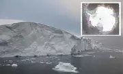 Shocking Antarctic Ice Discovery: Scientists Warn of Global Consequences