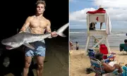 Shocking Encounter: Fisherman Reels in Massive Great White Shark Off Cape Cod