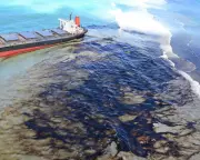 Shocking Report: Only 0.5% of 90,000 Oil Spills Reported in Five Years