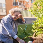 Silent Killer in Your Garden: Common Plants That Could Land You in Hospital