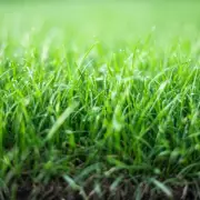 Sprinkle This Common Kitchen Staple in Your Garden for Healthier Plants