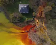 Stunning Winners of Wellcome Photography Prize 2025 Revealed at Francis Crick Institute