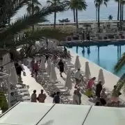 Sunbed Wars: Tourists in Majorca Resort Caught in Chaotic Race for Loungers