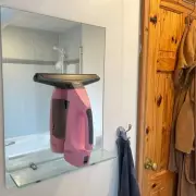 Swan's X Lynsey Window Vacuum: The Must-Have Cleaning Gadget at a Bargain Price!