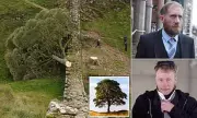 Sycamore Gap Vandals Jailed for Felling Iconic Tree in 'Moronic Mission'