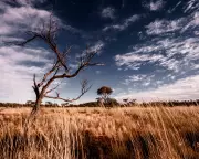 The Leap: A Gripping Crime Novel Set in Australia's Untamed Landscape