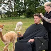 The Most Popular Men's Hairstyles Right Now – And The One To Avoid