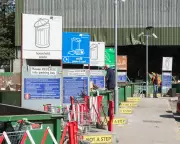 The Unexpected Joy of a Good Dump: Why We Should Celebrate This Daily Ritual