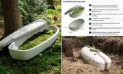 The World's First Living Coffin: How a Mushroom Casket is Revolutionising Eco-Friendly Burials