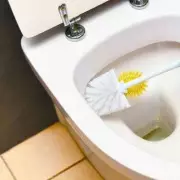 This One Natural Item Could Keep Your Home Pest-Free – Experts Reveal How