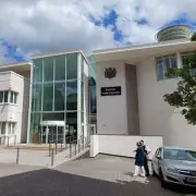 Three German Shepherds Form Savage Pack to Hunt Down Deer in Shocking Attack