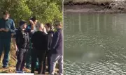 Tragedy at Currumbin Creek: Woman Found Dead in Suspected Drowning Incident
