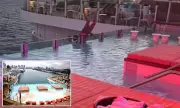 Tragedy at Sea: Passenger Jumps to Death from Cruise Ship's Infinity Pool