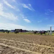 Tragedy at Thistledown as Horse Suffers Fatal Injury During Race