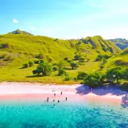 Tragedy in Thailand: British Woman, 24, Dies After Ingesting Poisonous Sea Snail