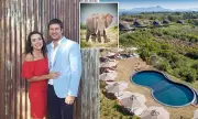Tragedy Strikes: Millionaire Game Reserve Owner Killed by Rogue Elephant in South Africa