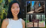 Tragic Accident in Yosemite: Google Engineer Dies After Falling from Tree